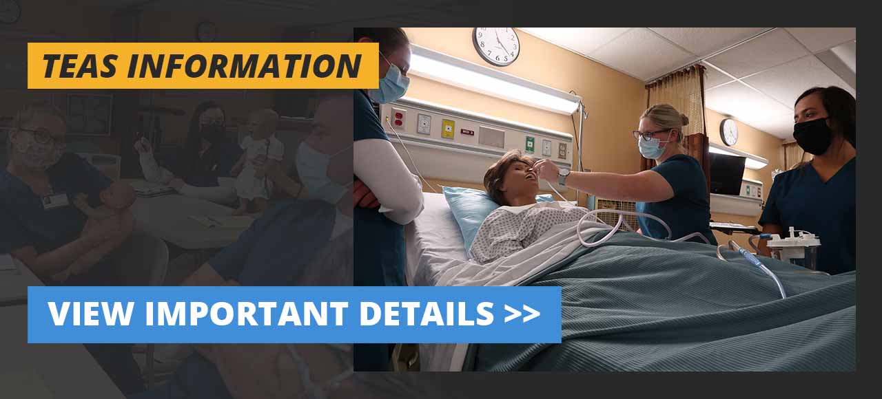 Teacher and Students